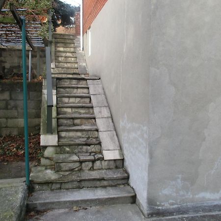 High Park Single Room With Personal Washroom And Kitchen Toronto Exteriör bild