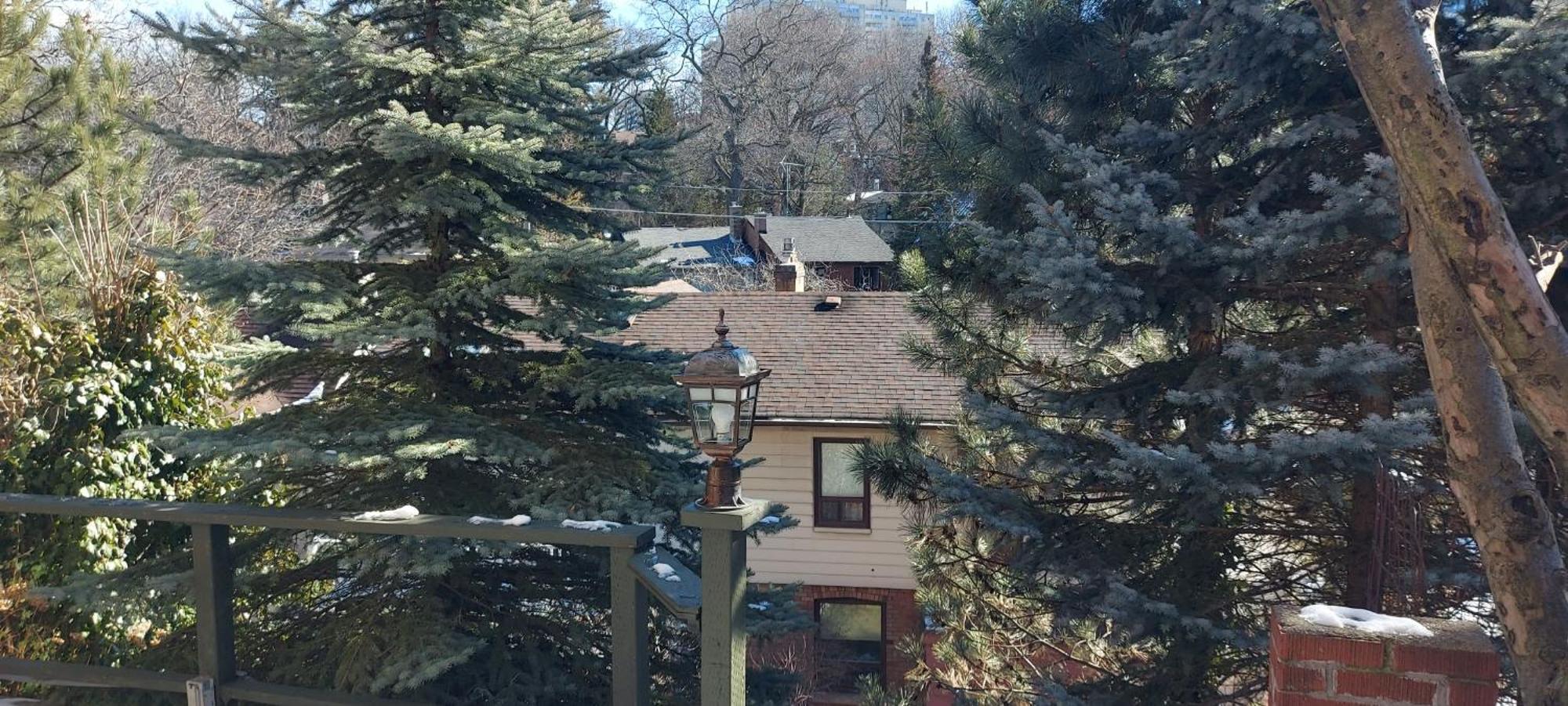 High Park Single Room With Personal Washroom And Kitchen Toronto Exteriör bild