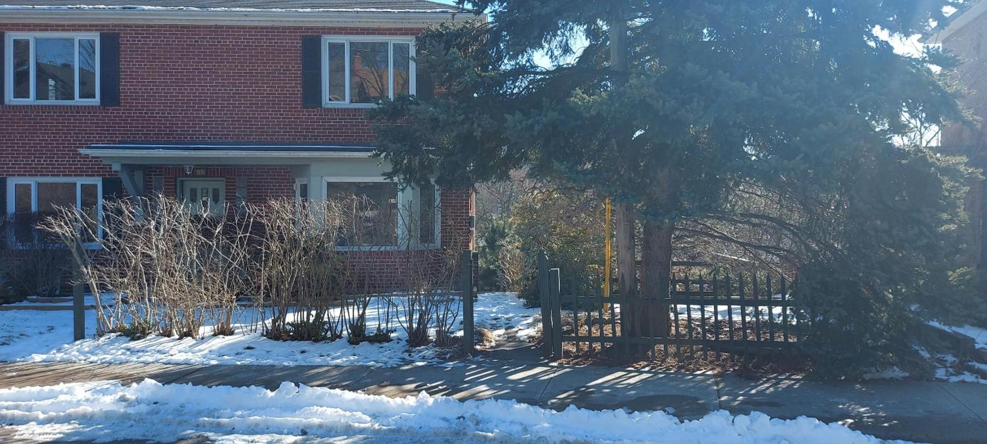 High Park Single Room With Personal Washroom And Kitchen Toronto Exteriör bild