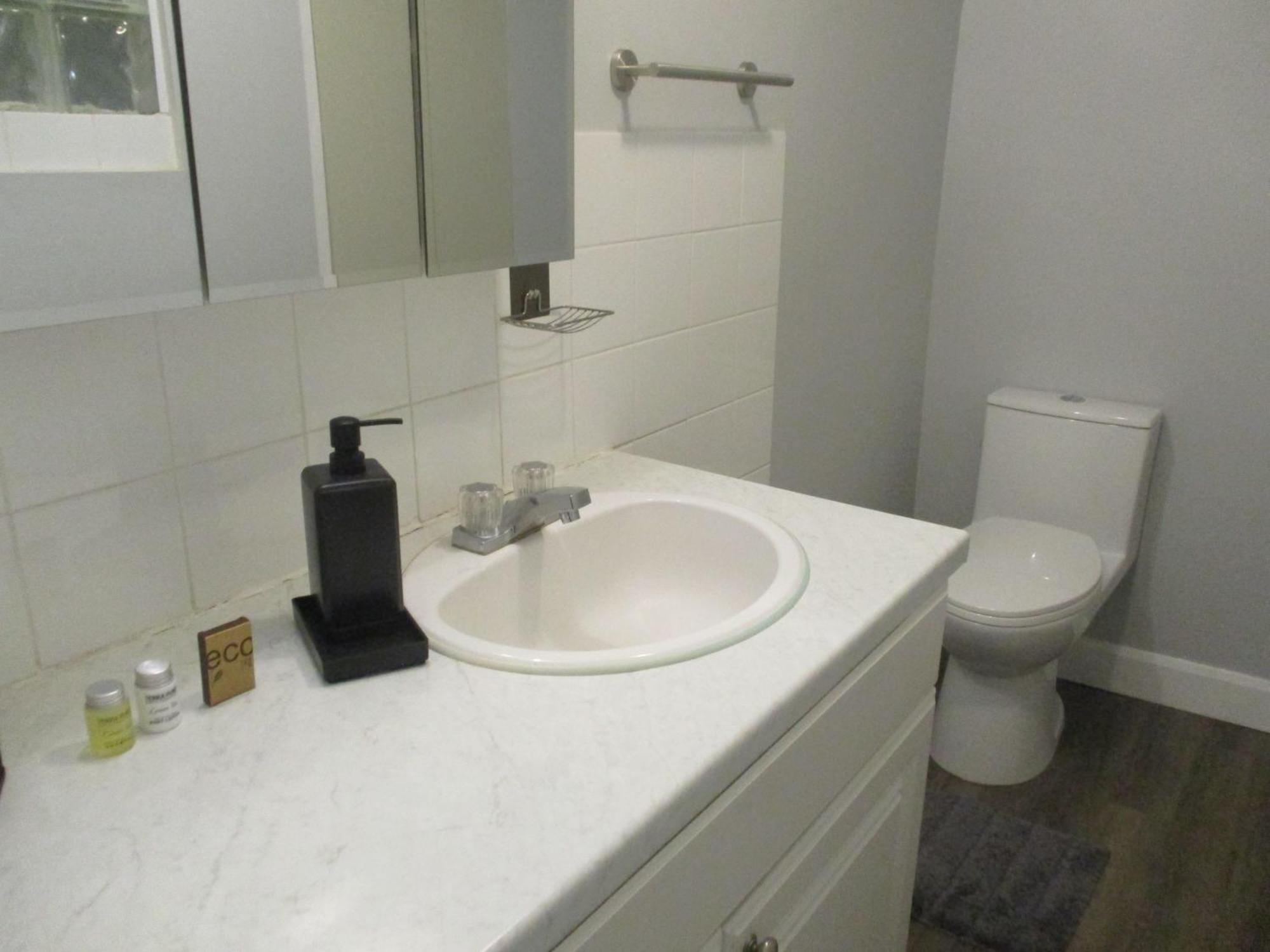 High Park Single Room With Personal Washroom And Kitchen Toronto Exteriör bild